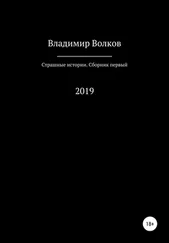 Владимир Волков - Страшные истории. Сборник первый