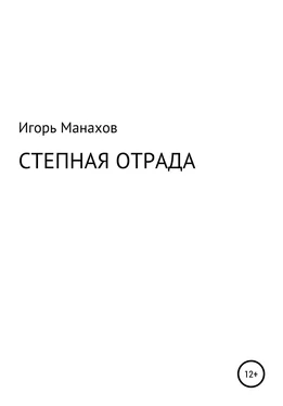 Игорь Манахов Степная отрада обложка книги