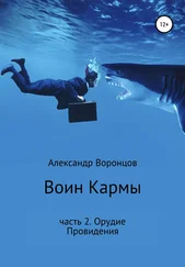 Александр Воронцов - Воин Кармы. Часть 2. Орудие Провидения