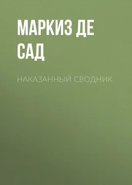 Донасьен Альфонс Франсуа де Сад Наказанный сводник обложка книги