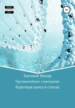 Евгений Маляр Чрезвычайное совещание обложка книги