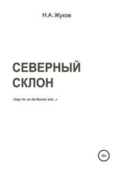 Николай Жуков - Северный склон