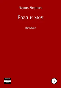 Олег Махнев Роза и меч обложка книги