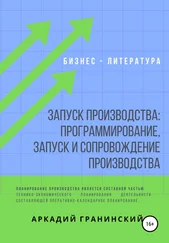 Аркадий Гранинский - Запуск производства - Программирование, запуск и сопровождение производства