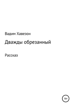 ВАДИМ Хавезон Дважды обрезанный обложка книги