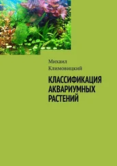Михаил Климовицкий - Классификация аквариумных растений