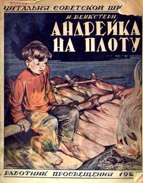 Наталия Венкстерн Андрейка на плоту обложка книги
