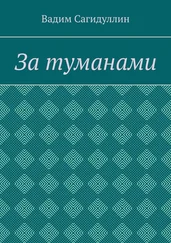 Вадим Сагидуллин - За туманами