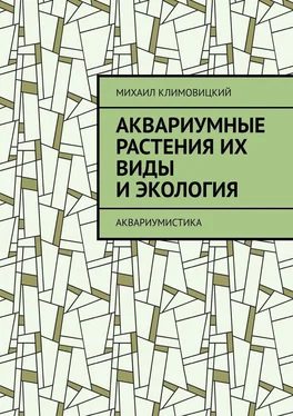 Михаил Климовицкий Аквариумные растения их виды и экология. Аквариумистика обложка книги