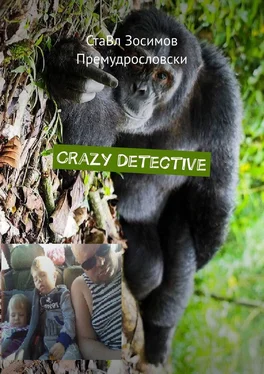 СтаВл Зосимов Премудрословски Crazy Detective. Grappige detective обложка книги