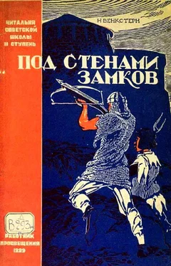 Наталия Венкстерн Под стенами замков обложка книги