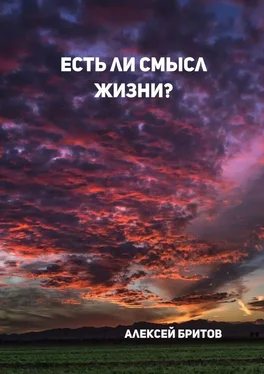 Алексей Бритов Есть ли смысл жизни? обложка книги