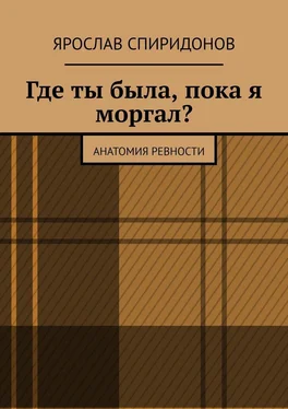 Ярослав Спиридонов Где ты была, пока я моргал? Анатомия ревности обложка книги