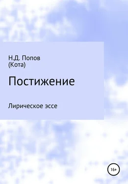 Николай Попов Постижение обложка книги