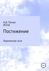 Николай Попов - Постижение