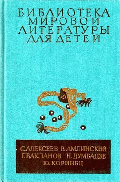 Сергей Алексеев Библиотека мировой литературы для детей, т. 30, кн. 4 обложка книги