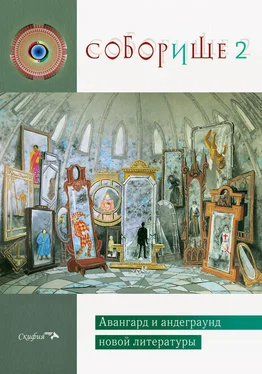 Array Антология Соборище 2. Авангард и андеграунд новой литературы обложка книги