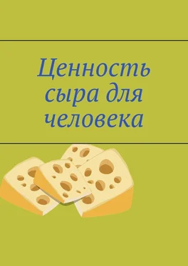 Владимир Кимпель Ценность сыра для человека обложка книги