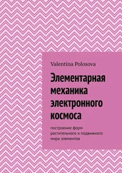Valentina Polosova - Элементарная механика электронного космоса. Построение форм растительного и подвижного мира элементов