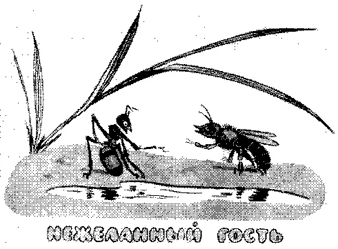 НЕЖЕЛАННЫЙ ГОСТЬ Муравей и пчела пили воду из одной лужицы тут они и - фото 9