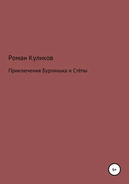 Роман Куликов Приключения Бурлинька и Стёпы