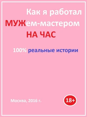 Vlastico Как я работал мужем-мастером на час обложка книги