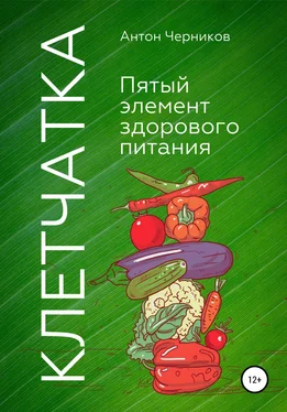 Антон Черников Клетчатка – 5-й элемент здорового питания обложка книги