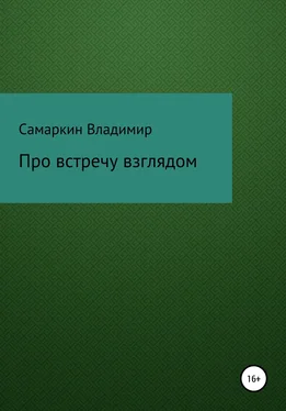 Владимир Самаркин Про встречу взглядом обложка книги