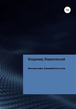 Владимир Жириновский Жестокая война. Ближний Восток в огне обложка книги