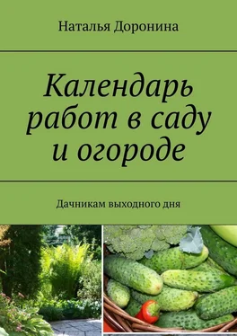 Наталья Доронина Календарь работ в саду и огороде. Дачникам выходного дня обложка книги