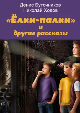 Денис Буточников «Ёлки-палки» и другие рассказы обложка книги