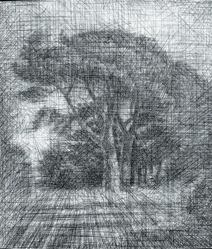 Сосна в Энгуре Послание Пифагора в мир музыки 2011 года Александр - фото 25