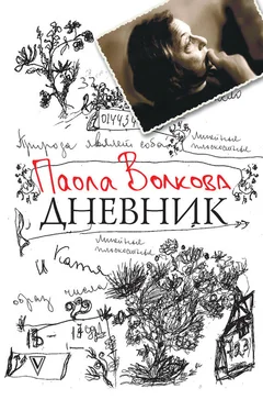 Паола Волкова Дневник обложка книги