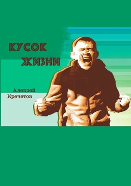 Алексей Кречетов Кусок жизни обложка книги