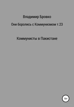 Владимир Бровко Они боролись с коммунизмом. Том 23 обложка книги