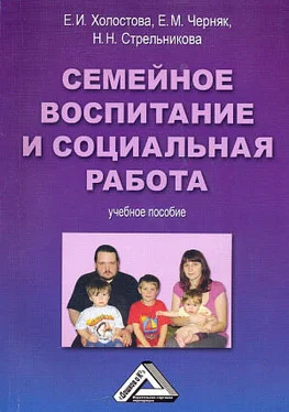 Евгения Черняк Семейное воспитание и социальная работа обложка книги