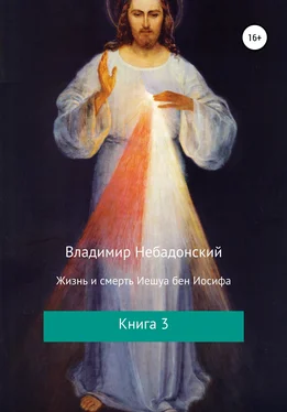 Владимир Небадонский Жизнь и смерть Иешуа бен Иосифа. Книга 3 обложка книги