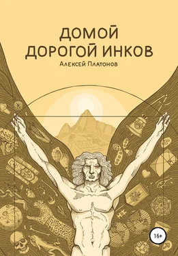 Алексей Платонов Домой дорогой инков обложка книги
