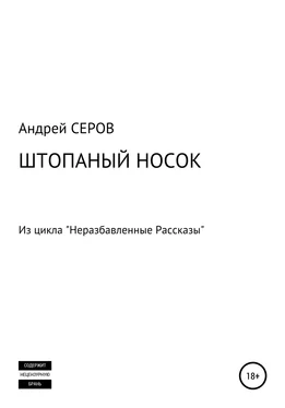 Андрей СЕРОВ Штопаный носок обложка книги