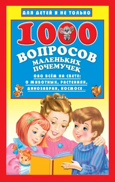 Наталья Бурцева 1000 вопросов маленьких почемучек обложка книги