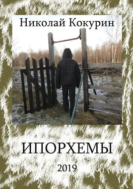 Николай Кокурин Ипорхемы обложка книги