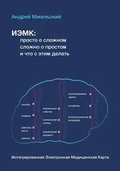 Андрей Мжельский - ИЭМК - просто о сложном, сложно о простом, и что с этим делать
