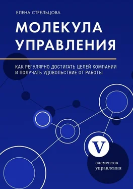 Елена Стрельцова Молекула управления. Как регулярно достигать целей компании и получать удовольствие от работы обложка книги