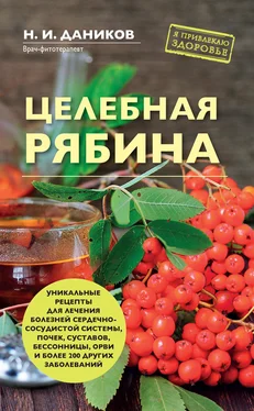 Николай Даников Целебная рябина обложка книги