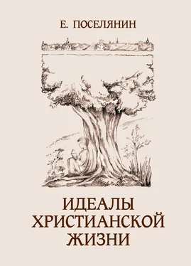 Евгений Поселянин Идеалы христианской жизни обложка книги