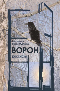 иеродиакон Никон (Муртазов) Ворон обложка книги