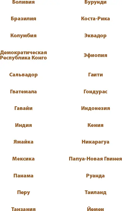 Зайдите в вашу любимую кофейню и посмотрите какие виды кофе есть в н - фото 4