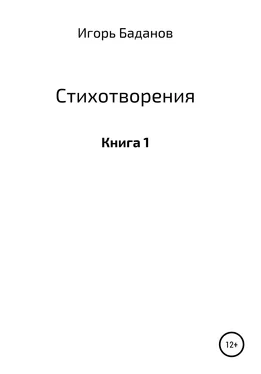 Игорь Баданов/Шторм Стихотворения. Книга 1 обложка книги