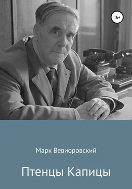 Марк Вевиоровский Птенцы Капицы обложка книги