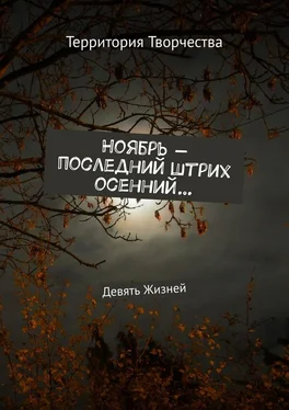 Валентина Спирина Ноябрь – последний штрих осенний… Девять Жизней обложка книги